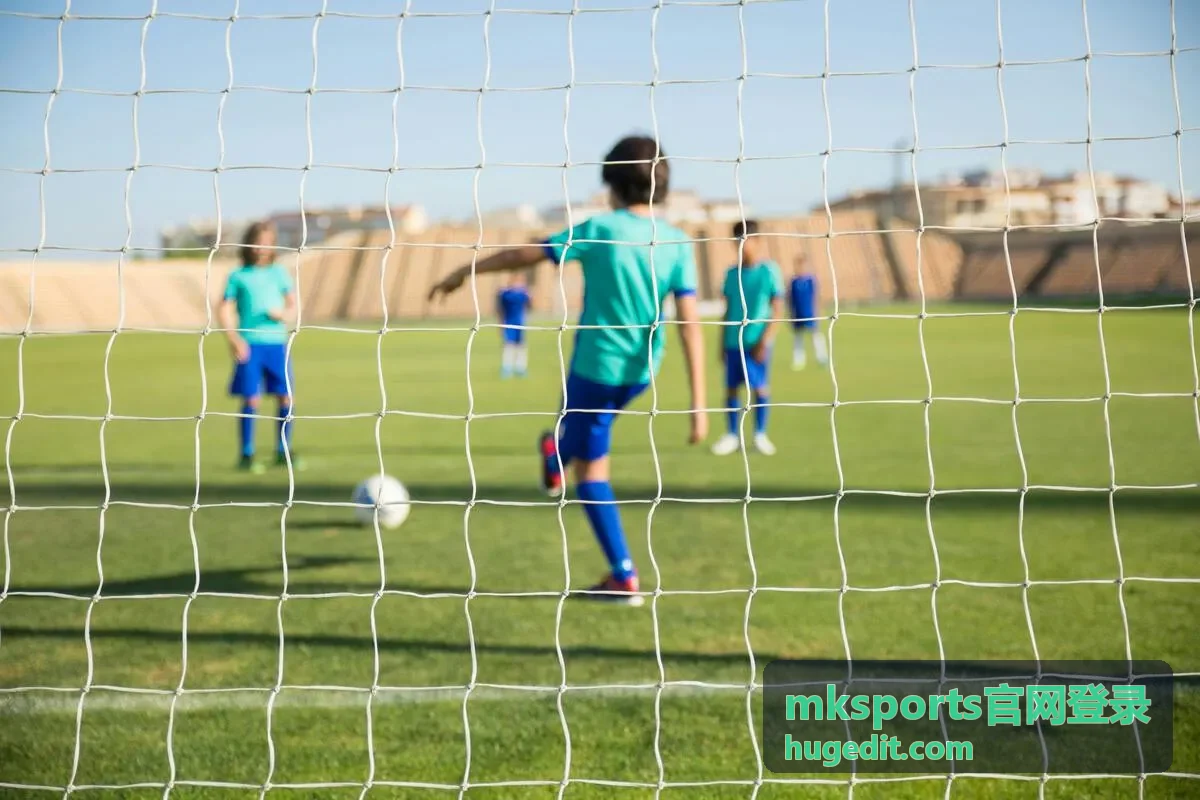 mksports官网登录入口与功能界面展示