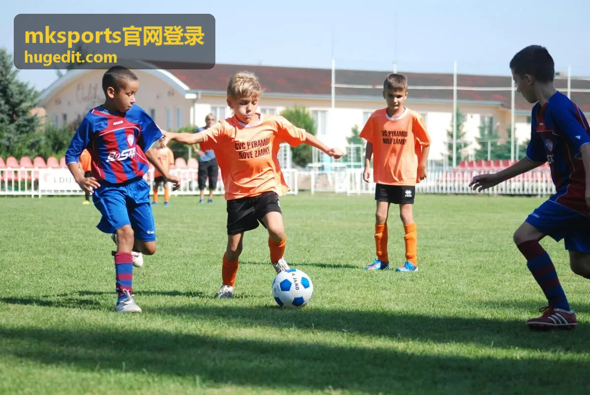 mksports官网登录赛事与数据模块入口配图